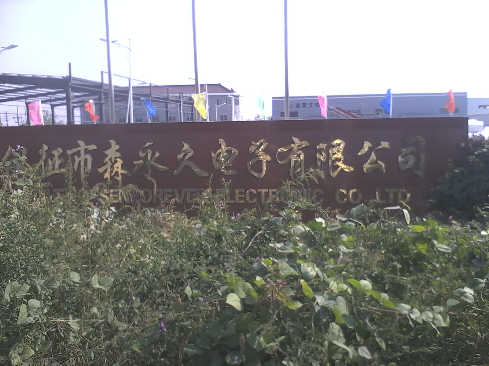 仪征市森永久电子有限公司